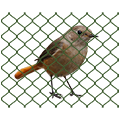 Ochranné sítě proti vtákům