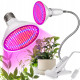 led lampy pre rastliny, lampy pre rastliny, led lampa na rastliny, led lampa na podporu rastu rastlin