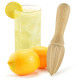 Ručný odšťavovač, rucny odstavovac ovocia, rucny odstavovac citrusov